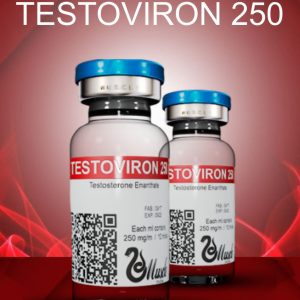 Testoviron (Testosterona Enantato) 250mg /10ml – Muscle Pharma