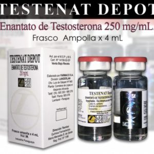 Enantato de testosterona 250mg/ml - Landerlan